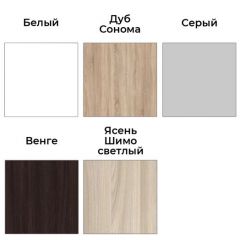 Шкаф-купе ХИТ 22-12-66 (620) | фото 3