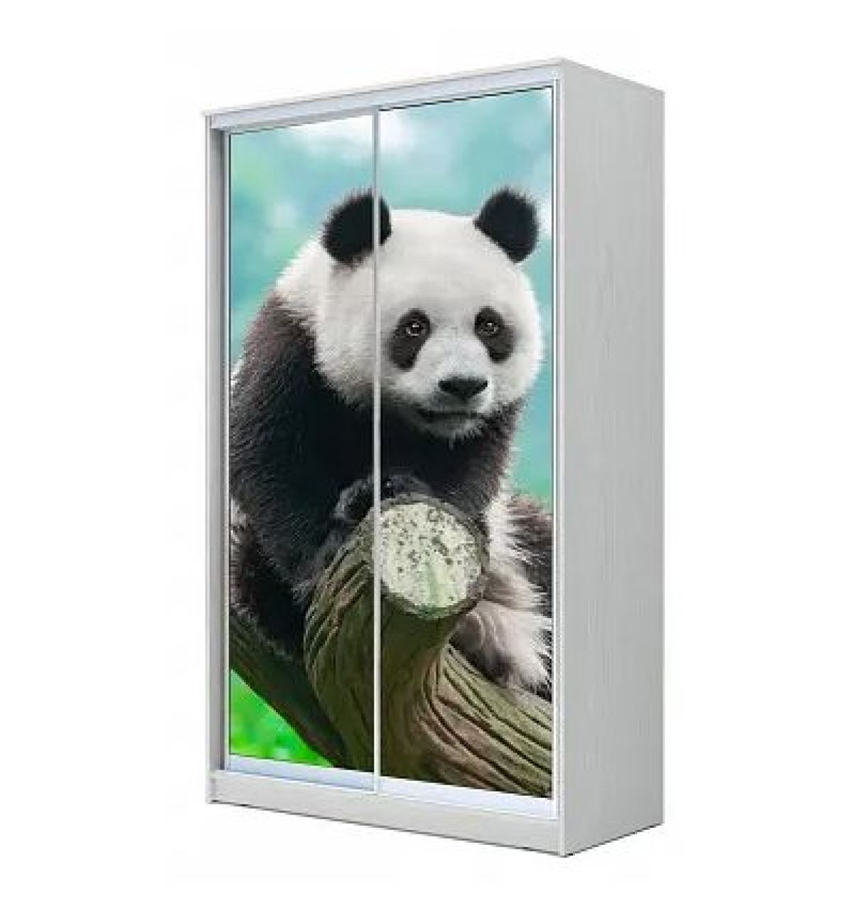 Шкаф-купе ХИТ 22-14-77 (620) | фото 6