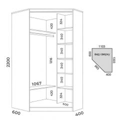 Шкаф-купе ХИТ-У-R-22-64-15 | фото 2