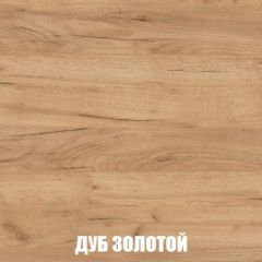 МСП-1 Шкаф 2-х створчатый (Дуб Золотой/Камень темный) | фото 4